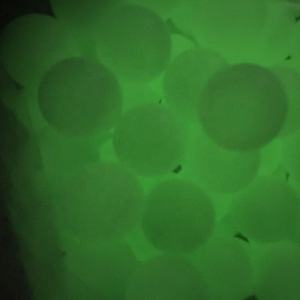 Jeu de <span class=keywords><strong>Ping</strong></span>-<span class=keywords><strong>Pong</strong></span> en plastique, professionnel et personnalisé, scintillant dans la nuit, bière - Product Image 3