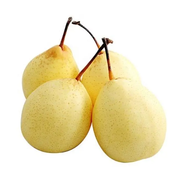 Chinese/China Fresh Pear Ya/Golden Pears