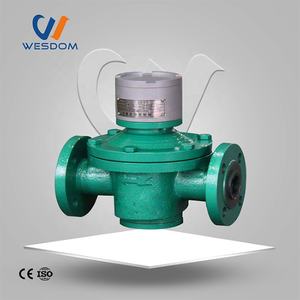 2024オーバルギア流量計ギア燃料ディーゼルオイル流量計トラックパーム油用 - Product Image 4