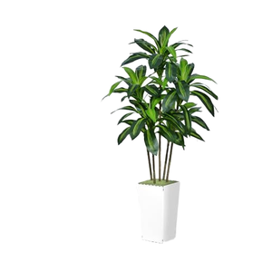 Factory <b>Plastic</b> Artificial Flower Dracaena <b>Plants</b> Outdoor Hotel and Family Wedding Decoration Planted - Product Image 6
