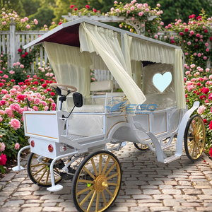 Chariot de tourisme électrique sans chevaux style Cendrillon blanc, prix usine, en promotion - Product Image 1