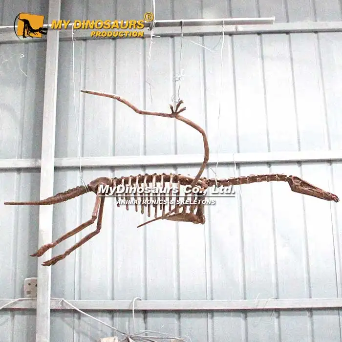 Benim Dino DS-094 yapay dinozor fosil müze için Angustinaripterus asılı