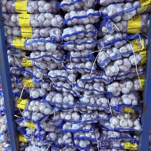 Ajo Fresco Sinofarm 2025, Semillas de Ajo de Nueva Cosecha para Plantar, 1KG 5KG, Alho Bawang Putih, Ajo Orgánico, Verdura Fresca, Cebolla, Ajo - Product Image 3