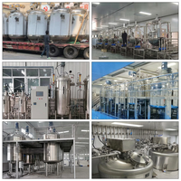 Plateforme de travail pour le chauffage, le mélange et la pasteurisation du lait et des jus de fruits - Prix du réservoir