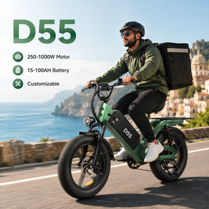 Bicicleta Eléctrica de Carga D55 E-MTB 48V55Ah, Neumático Grueso de 20 Pulgadas, 750W, 240km de Autonomía, Bicicleta de Reparto OEM, Venta al Por Mayor Personalizada - Product Image 1