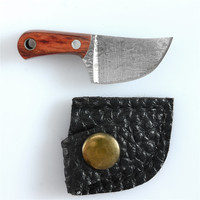 Couteaux de poche en fer à lame tranchante pour les fêtes, cadeau, défense personnelle, mini couteau à fruits, petit couteau de cuisine avec étui
