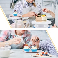 Lakuna Super Vente 480 Pièces Kit d'Accessoires de Décoration pour Gâteaux, Muffins et Cupcakes, Spatule en Acier Inoxydable et Poche à Douille