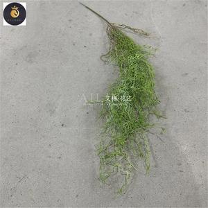 Simulazione aria <span class=keywords><strong>veccia</strong></span> selvaggia appesa Tillandsia usneoides soffitto appesa in stile Mori <span class=keywords><strong>pianta</strong></span> verde matrimonio morbido - Product Image 3