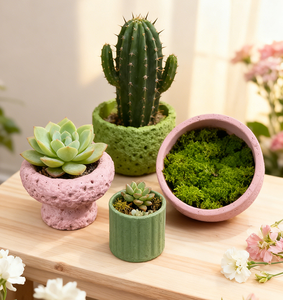 Vaso <span class=keywords><strong>in</strong></span> <span class=keywords><strong>Cemento</strong></span> Poco Profondo con Drenaggio, Piccolo Contenitore Verde per Fiori, Piante Grasse e Cactus - Product Image 4