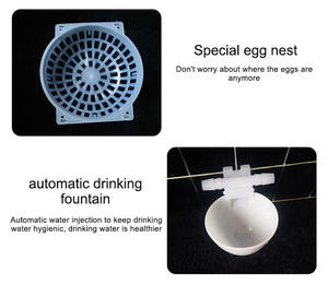 Gabbie per allevamento domestico di piccioni di nuovo Design gabbia per piccioni da corsa in vendita - Product Image 4