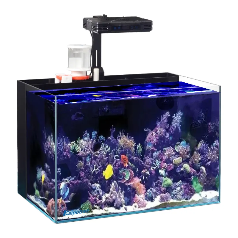 OEM kustom akrilik atau kaca tangki ikan akuarium filter belakang skimmer meja dekorasi atas air asin akuarium tangki laut untuk rumah