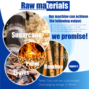 Macchina Per Pellet di biomassa di RICHI 5 tonnellate all'ora su misura Per la macchina Per Pellet di foglie di palma da biomassa di canna da zucchero - Product Image 2