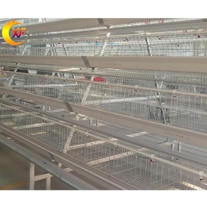 Cage pour poules pondeuses pondeuses pondeuses en Afrique pour poules pondeuses et poules pondeuses d'une capacité de 2000 5000 oiseaux - Product Image 3