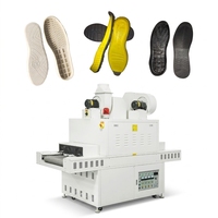 Machine de séchage UV LED à bande transporteuse pour la fabrication de semelles de chaussures de sport en EVA et MD, le séchage de la colle et de la peinture
