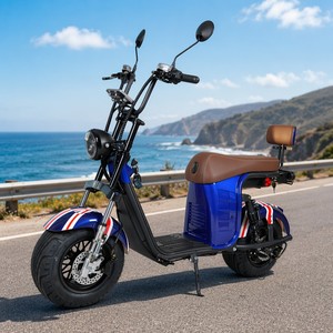 Scooter Eléctrico de Dos Ruedas Estilo Brasileño X26 de 1000w-3000w para Adultos, Alcance de 60-80km, Aluminio, Precio X26, de la Fábrica Más Grande de China - Product Image 1