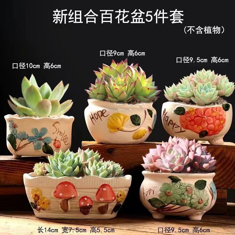 Nouvel ensemble baihua 5 pièces