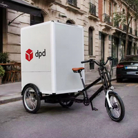 Vélo électrique à 3 roues de 850W-1000W avec boîte de livraison arrière, mini-vélo utilitaire, quad cargo, vélo électrique de livraison – Fournisseur direct usine