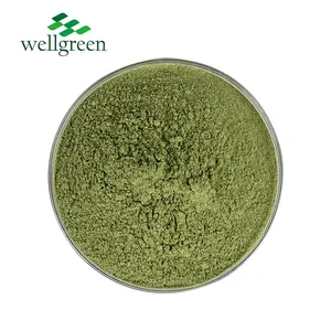 100% Pure Nature Food Grade Vegetable Extract Spinach Extract Powder Spinach Juice Powder