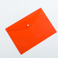 Carpeta de Archivo Transparente XR Tamaño A4, 18C, de Plástico PP, Sobres para Documentos, Carpeta de Plástico y Sobres de Polipropileno