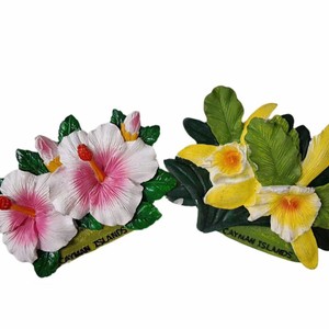 Pegatina para Refrigerador con Diseño de Flor de Hibisco, Recuerdo de Atracciones Turísticas, Pegatina Decorativa Magnética de Resina para Refrigerador - Product Image 1