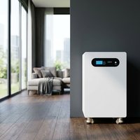 Batterie au lithium UN Deep Cycle 51,2 V 10 kWh, conception murale pour système de stockage solaire domestique