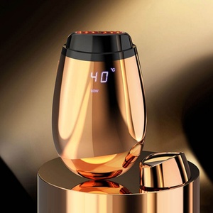 Appareil de massage facial à micro-courant et lumière LED rouge pour raffermissement de la peau, utilisation à domicile - Product Image 2