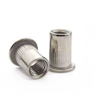 Rivet aveugle à tête ronde en acier inoxydable de qualité 304, de qualité industrielle, insert A2-70 forgé pour l'assemblage d'armoires et de boîtiers
