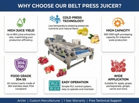 Presse à jus industrielle à bande continue pour ligne de jus de fruits pressés à froid |   Extracteur de jus de pomme, gingembre et ananas à haut rendement
