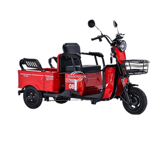 Triciclo Eléctrico Compacto |   Vehículo de Doble Uso para Pasajeros y Carga, Ideal para Recogida Escolar y Desplazamientos Diarios - Product Image 3