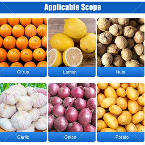 ORME Industrial Fruit Date Size Sorter Potato Olive Grade Machine <b>Tomato</b> Wash and Sort Machine - Product Image 6