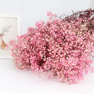 Bunga Buatan Warna-warni Abadi Nafas Bayi Diawetkan Bunch Gypsophila Kering untuk Pernikahan Valentine Dekorasi Hari Ibu