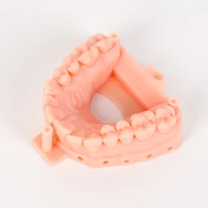 LEYI DMF03 resina de impresora 3D dental de alta calidad para impresora 3D