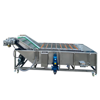 Vbjx Surfen Rambutan Mango Broodvrucht Fruit Groen Blad Groente Reiniger Wasmachine Droger Met Reinigingswasmachine