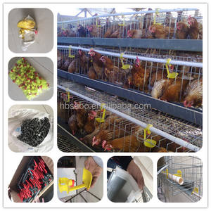Cage à poules pondeuses à 4 niveaux, capacité 128, pour ferme avicole, type batterie - Product Image 3
