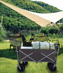 Carrito Plegable <span class=keywords><strong>Pequeño</strong></span> Tipo Vagón para Celebridades de Internet, para Viajes, Compras y Actividades al Aire Libre - Product Image 4