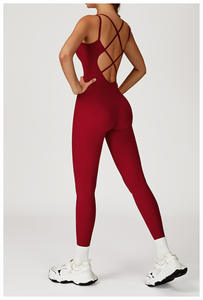 Combinaison de sport pour <span class=keywords><strong>femme</strong></span>, sexy, moulante, extensible, en nylon, <span class=keywords><strong>dos</strong></span> <span class=keywords><strong>nu</strong></span>, combinaison de yoga, combinaison de sport, tenue de sport une pièce pour <span class=keywords><strong>femme</strong></span> - Product Image 3