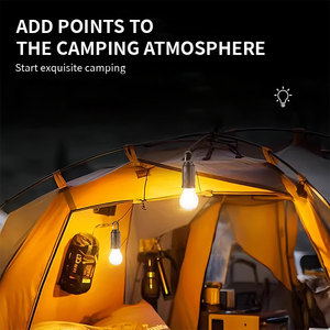 Светодиодные наружные гирляндные лампы 10 Вт, 5 м - Product Image 4