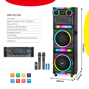 NDR-M1104 Enceinte de fête professionnelle en bois double 10 pouces pour DJ extérieur, karaoké, subwoofer à basses profondes avec micro sans fil - Product Image 3
