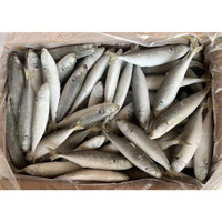 Poisson scad rond frais et congelé, poisson scad queue jaune, poisson à petits yeux, fournisseur en gros