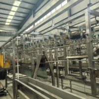 Ligne d'abattage automatique de poulets, ligne complète de traitement de la volaille, équipement d'abattoir de poulets pour élevage avicole