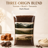 Mélange Spécialisé de Café Instantané Lyophilisé Torréfaction Foncée avec Notes de Chocolat, Caramel et Crème pour la Restauration en Extérieur