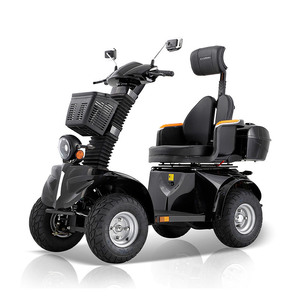 Scooter tout-terrain intelligent à pneus larges DJ2D, 500W, 60V, batterie au plomb 20AH, conception robuste, supporte jusqu'à 600 lbs - Product Image 3
