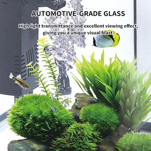 <span class=keywords><strong>Acquario</strong></span> in Vetro Personalizzabile con Luce LED Integrata e Filtro, Mini <span class=keywords><strong>Acquario</strong></span> da Scrivania per Decorazione Casa e Ufficio - Product Image 4