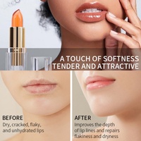 Etiqueta privada Clear Crystal Lips Care Magic Lipstick Tinte de larga duración Bálsamo labial Hidratante Lápiz labial que cambia de color