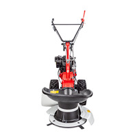 EUROSYSTEMS Rotary Scythe P70 EVO Briggs & Stratton Engine Largeur de travail 64 cm Hand Push Brush Tondeuse à gazon