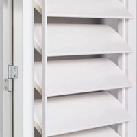 Conception durable pvc fenêtre en plastique lame plantation obturateur stores stores volets roulants