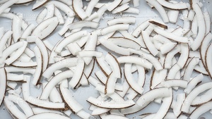 FTS-120/FTS-168商用多機能野菜フルーツスライスカッター機自動チーズスライシング切断機 - Product Image 5