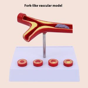 Yaşlılar İçin Deren DR Koronari Arter Kardiyovasküler Modeli Tromboz Kalp Hemşiresi Eğitimi Tıp Bilimi Sertleştirme - Product Image 6