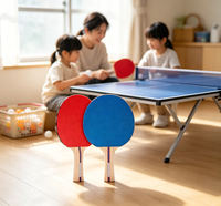 Ensemble de raquettes de tennis de table en bois 5 plis de haute qualité avec surface en caoutchouc à picots, balles et kit de jeu pour sports d'intérieur