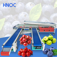 HNOC Groente Sorteermachine Mango Transportband Sorteerder Appel Reinigings- en Sorteermachine